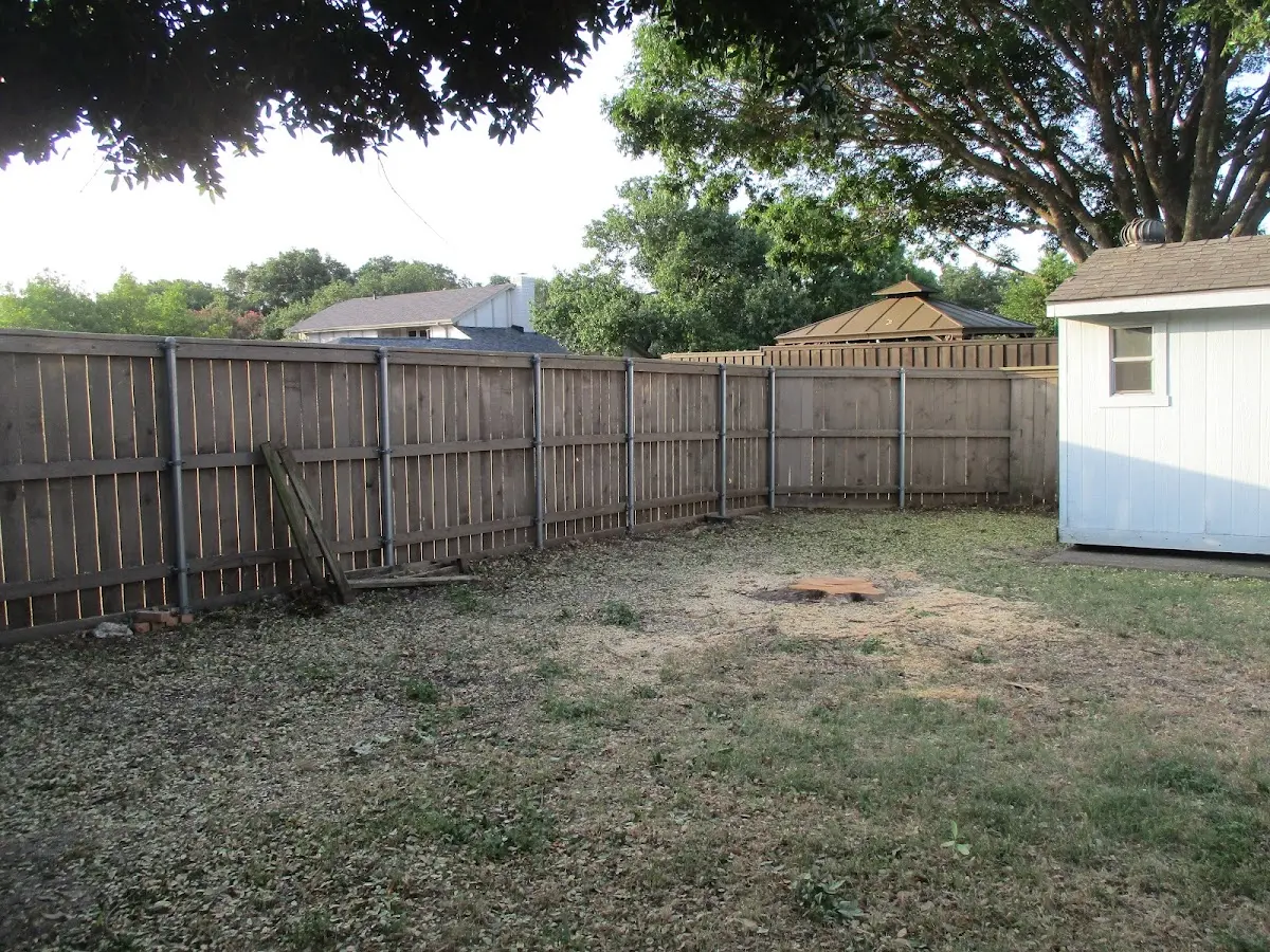 Cleared yard after professional tree removal in Nakina